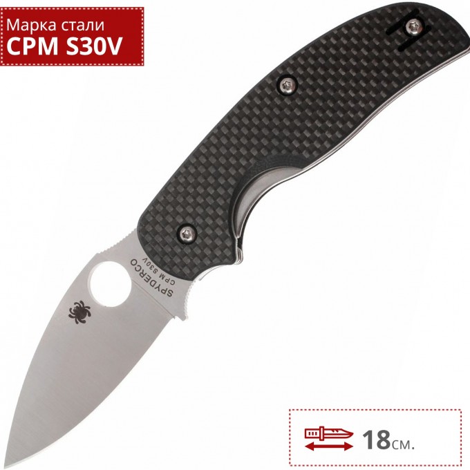 Нож SPYDERCO SAGE 123CFP